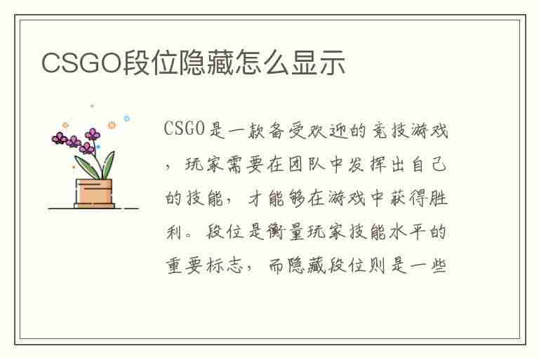 CSGO段位隐藏怎么显示(csgo段位隐藏怎么显示出来)